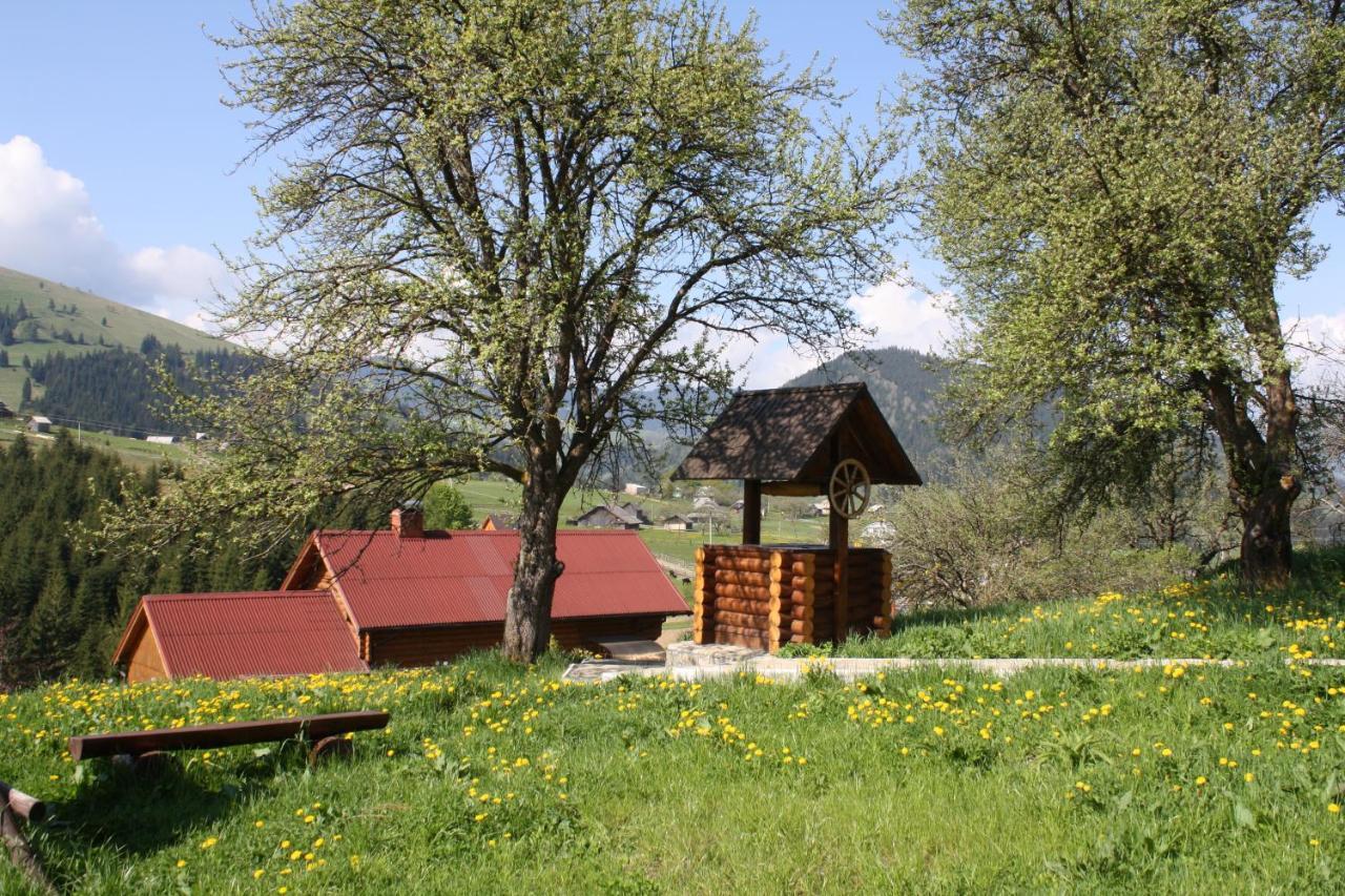Polonyna Villa Verkhovyna Dış mekan fotoğraf