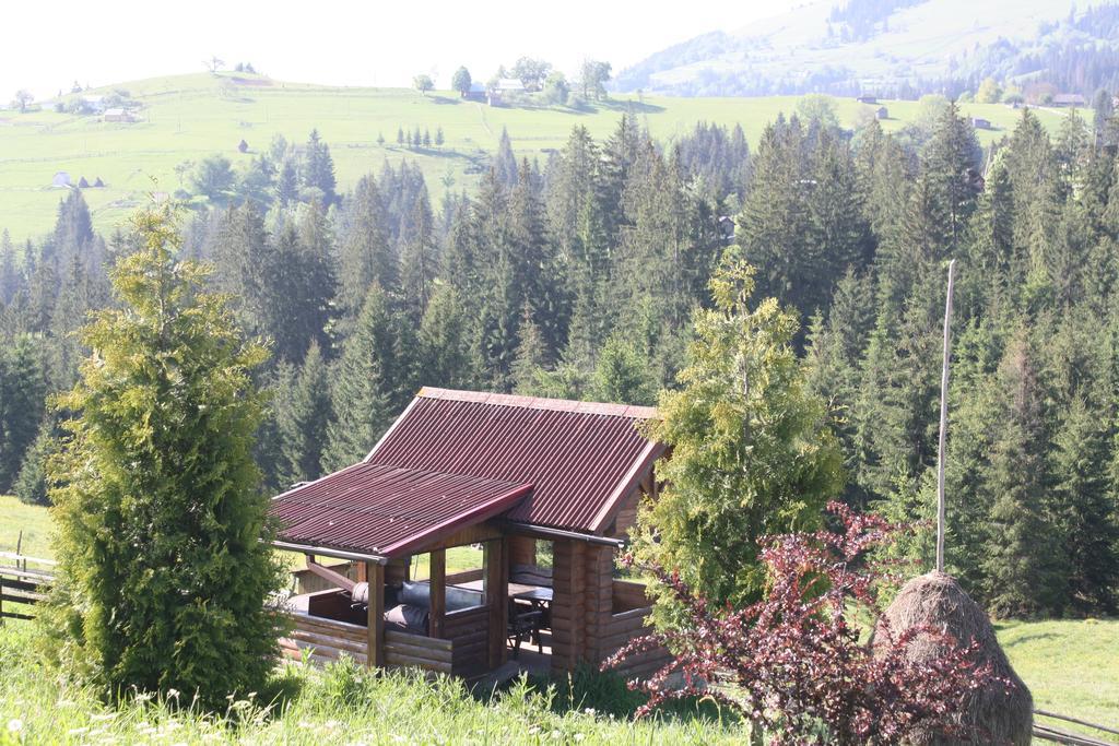 Polonyna Villa Verkhovyna Dış mekan fotoğraf