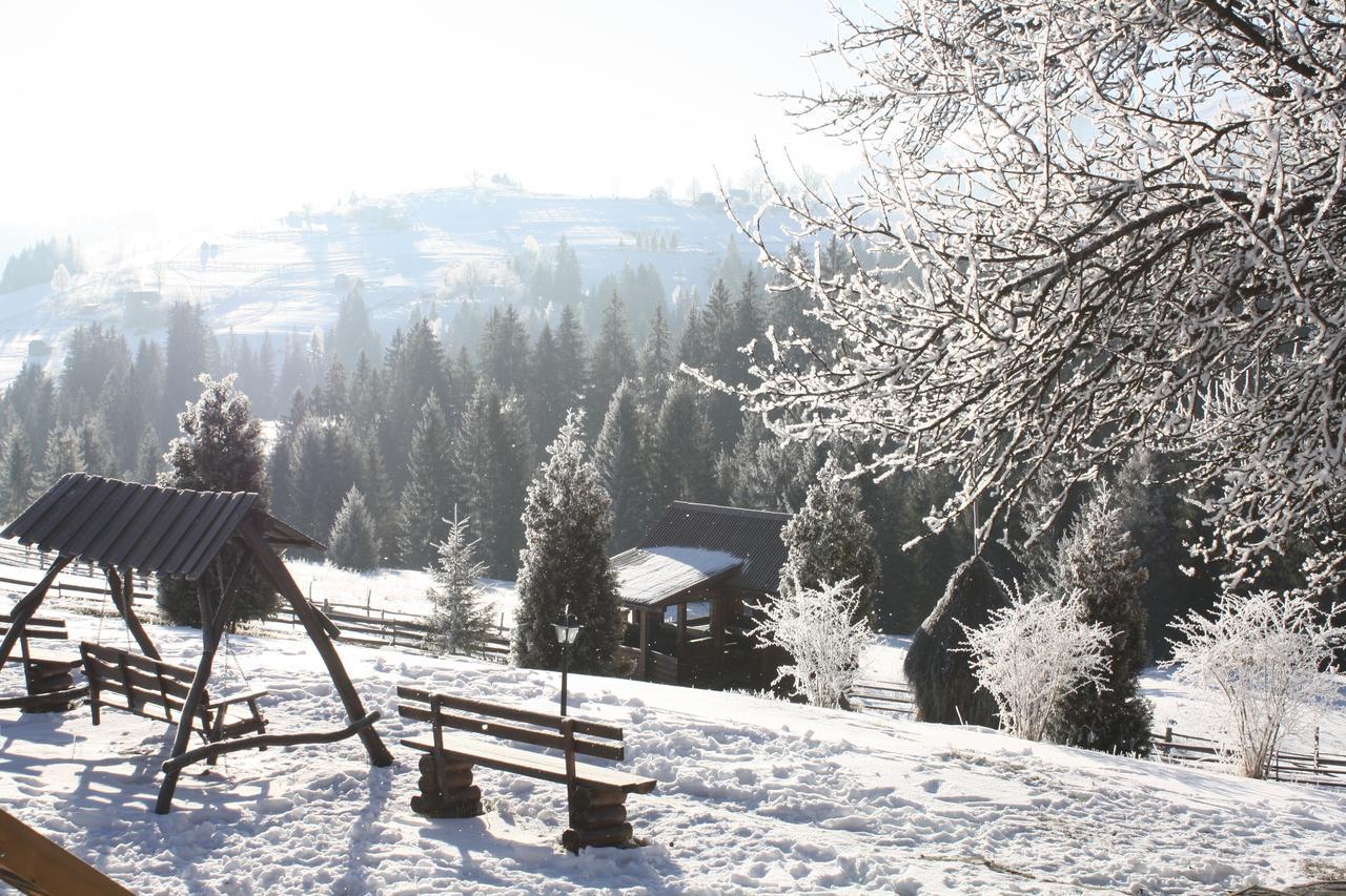 Polonyna Villa Verkhovyna Dış mekan fotoğraf