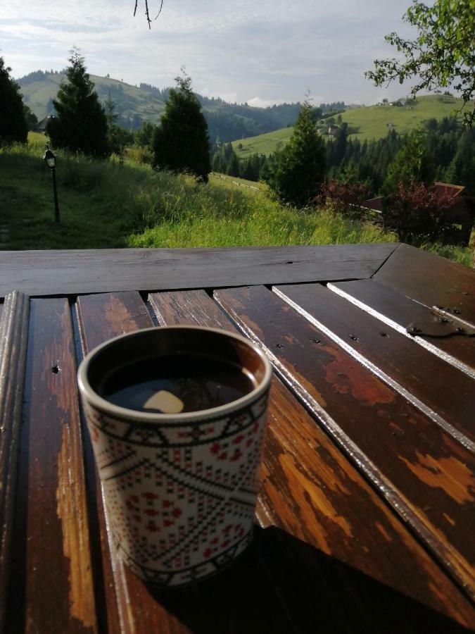 Polonyna Villa Verkhovyna Dış mekan fotoğraf